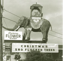A neighborhood icon at the Aurora Flower Shop, 8808 Aurora Ave. N. (1960's photo)